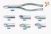 Dental forceps (adlut)